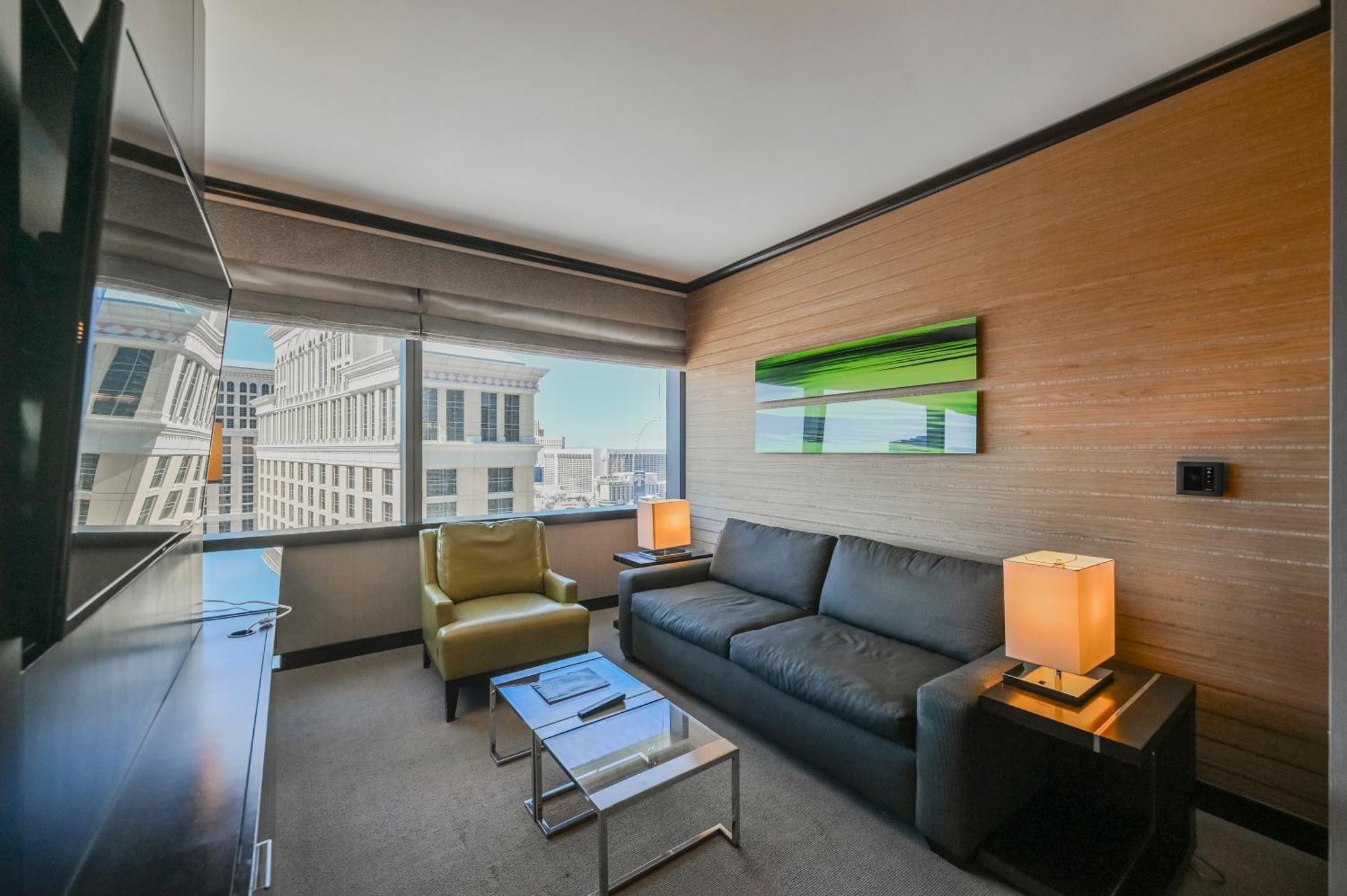 Stripviewsuites At Vdara 라스베이거스 객실 사진